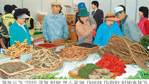 [충북]주말, 떠나요!/제천 비행장서 한방축제