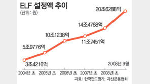 [맞춤 재테크]ELF ‘고수익’ 유혹 뒤에 ‘고위험’ 함정