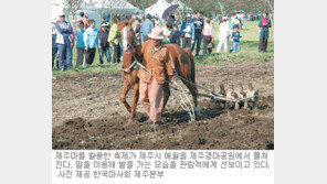 [제주]‘제주마 축제’ 9일 팡파르