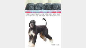 [충북]“오송서 꿈의 바이오산업 체험하세요”