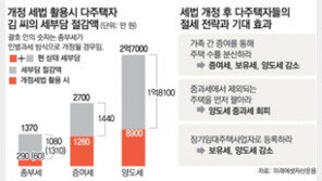 [맞춤 재테크]다주택자 절세법