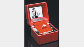 [쇼룸]‘유리 케이스 스페셜 에디션’