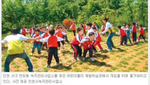 [인천/경기]끌어안고 뒹굴고 달리고 나무와 숲과 함께 놀아요