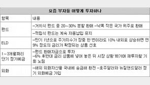 [요즘 부자들은]안갯속 증시 펀드환매 할까 말까