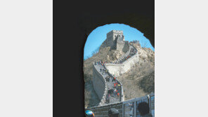 [인문사회]역사: 사람이 알아야 할 모든 것