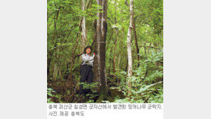 [충북]괴산에 국내 최대 망개나무 집단자생지