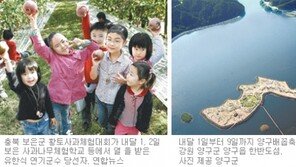 [충북][대전/충남][강원]주말, 떠나요!/가을이어라