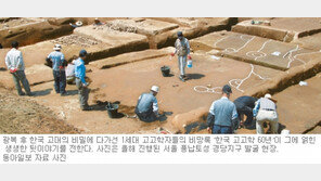 [인문사회]불국사를 철근 콘크리트로 복원하라?