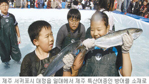 [제주]겨울철 별미 ‘방어의 귀환’