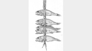 [로비에서]연필畵만 그리다 간 원석연