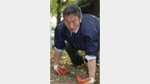 [7330 운동합시다]<7·끝>이색 생활체육