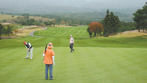 [제주]제주 골프장 때아닌 호황
