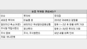 [요즘 부자들은]연말 稅테크 어떻게 하고 있나