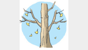 [오늘의 날씨/11월19일]옷 벗는 나무, 옷 껴입는 사람