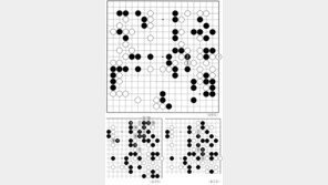 [서정보 기자의 이 한수]국수전 도전 2국
