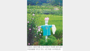 [강원]“무궁화 심어 무공해 쌀 만들어요”