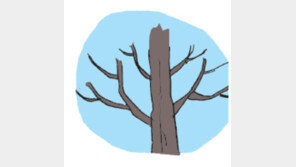 [오늘의 날씨/12월4일]훌훌 털어 자유로운 겨울나무