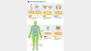 [건강]남과 여, ‘지방세포’부터 다르다!