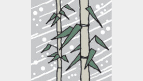 [오늘의 날씨/12월8일]휘청… 흔들… 꿈찾아 가는 길