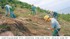 [대구/경북]‘벌거숭이산 녹지 변신’ 세계가 배운다