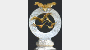 [광주/전남]함평 황금박쥐 금값 폭등에 귀하신 몸!