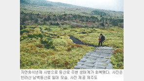 [제주]한라산 등산로 생태계 되살아난다