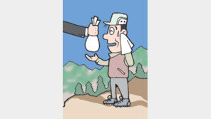 [강원]산림 일자리로 취업난 녹인다