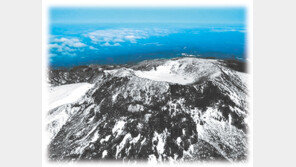 [제주]제주 새해맞이 행사 다채