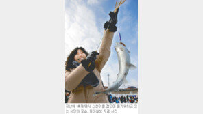 [강원]‘화천 산천어’ 오늘 서울 나들이