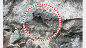 [휴지통]바위의 ‘고추 모양’ 한눈에 알아보면 새해 득남?