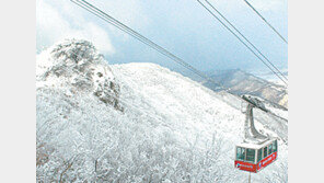 [광주/전남]‘땅끝’ 해맞이 10만 인파