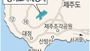 [제주]광역 지자체들 “올해엔 이사업”/제주 영어교육도시 조성