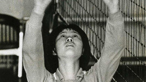 [피플 인 메모리] 왕년의 미녀세터 “이젠 명품한우 토스!”