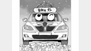 [스포트라이트]세계적인 고급車로