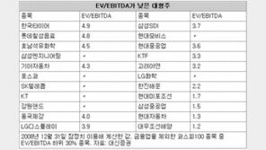 [맞춤재테크]올해 유망한 가치투자 스타일은