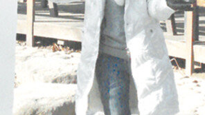 [강원]남이섬 찍고 화천… 평창… “원더풀 강원”