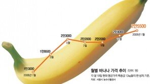 [출동! 경제 탐정]바나나 왜 1년새 40% 넘게 올랐나