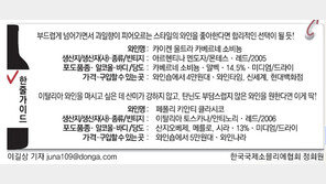 밸류와인을 찾아서⑥… 붉은 유혹, 달콤 쌉싸름 하게