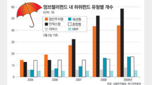 [맞춤 재테크]불확실성-변동성에 대응할 수 있는 펀드는