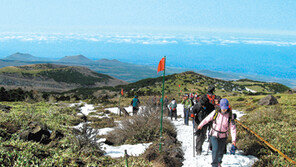 [웰빙 트레킹]제주 한라산