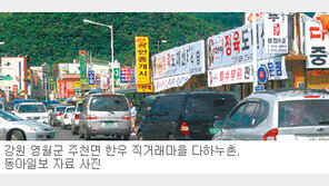 [강원]“한우 햄버거 드시고 쇠고기 싸게 사가세요”