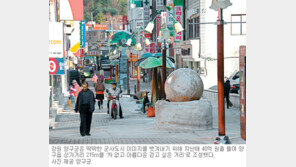 [전북]군산 - 익산서도 AI항체 발견