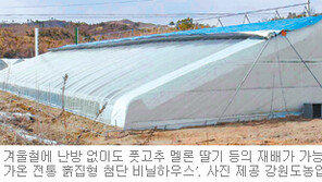 [강원]난방비 제로 첨단 비닐하우스 개발