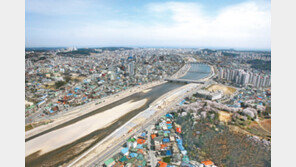 [강원]“연어-수달이 사는 남대천으로”