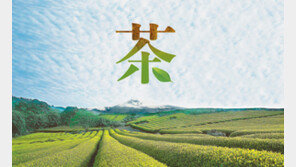 [‘그린 이코노미’ 국내 현장을 가다]<2>‘설록다원’