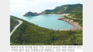 [광주/전남]‘하트 해변’서 사랑 고백 어때요