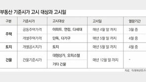 [맞춤 재테크]기준시가 고시일 따라 세금 다르다는데?