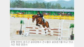 [대구/경북]휴양림 즐기고 승마도 감상