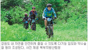 [강원]“자전거 타며 산림욕 즐겨요”