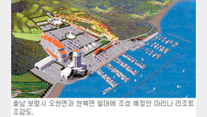 [대전/충남]보령에 마리나 리조트 들어선다